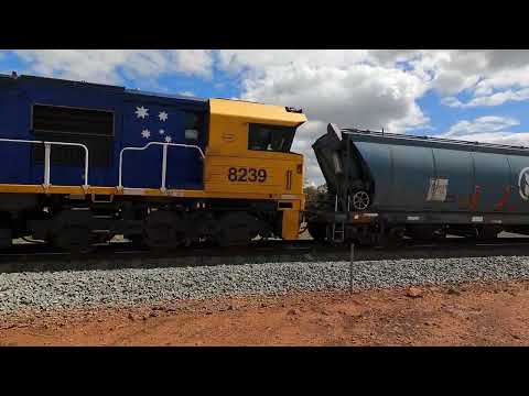 8217, 8212, 8155, 8227, 8171, 8128 & 8239 Gunningbland NSW.  Fri 04th Nov 2022