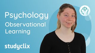 VCE Psychology: Observational Learning