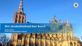 Sint-Janskathedraal Den Bosch, 29 december 2025,  H. Mis aanvang 08.30u
