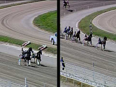 Trotto 08/09/2019 - 2ª corsa