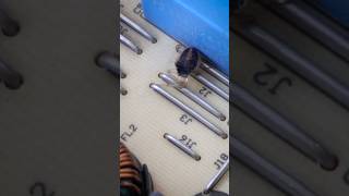 Video thumbnail image