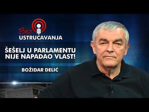 Božidar Delić - Šešelj u parlamentu nije napadao vlast!