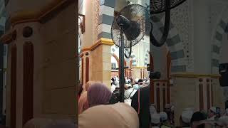 Download lagu Ngaji di Gedung Bustanul Asyiqin Solo ndalem Habib Syech Bin Abdul Qodir Assegaf 😇 #ahbabulmusthofa mp3