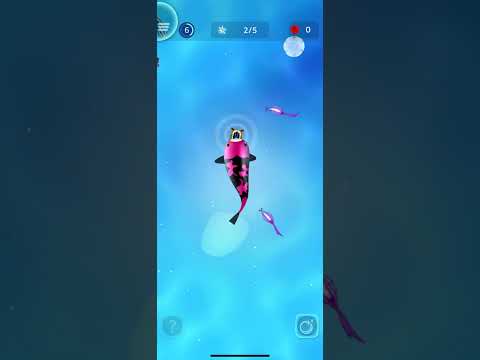 Zen Koi Pro | 33 Minute Preview Gameplay Introduction/Tutorial (iOS) #koi #zen #zenkoi #squiidmafiia - YouTube
