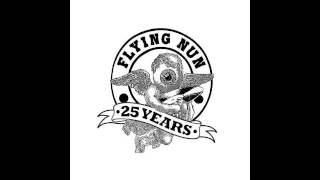 Shayne Carter And Peter Jefferies - Randolph's Going Home (Official Audio)