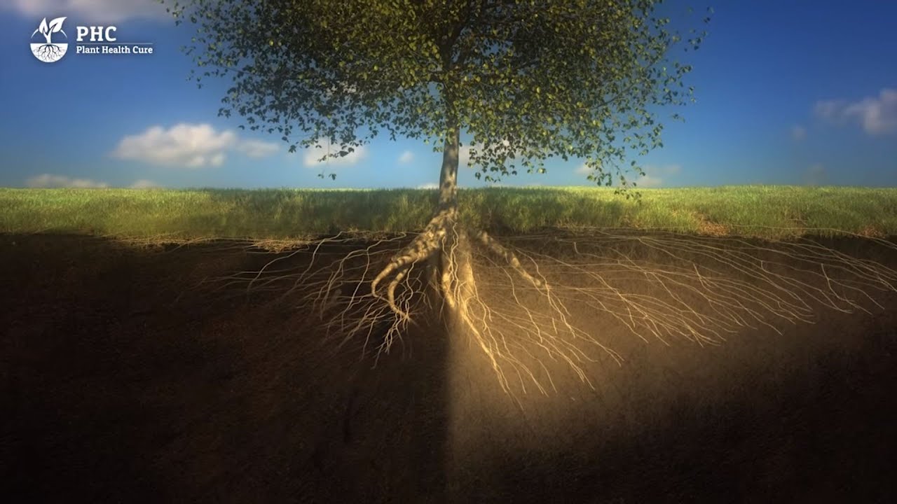 PHC Film: Soil is a living organism