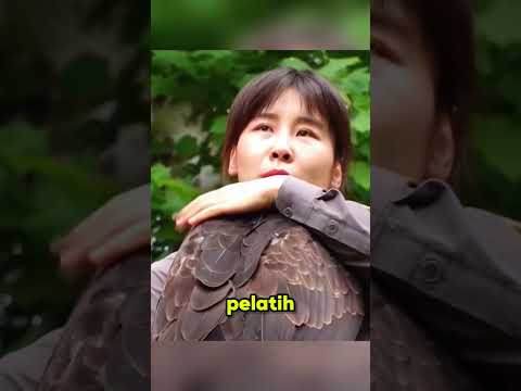 ELANG INI MENGIRA DIA AYAM⁉️