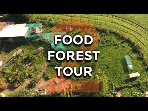 Food Forest Tour (end of year 2) 2018