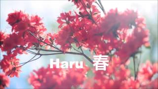 Haru - Haru (Widelife Remix)