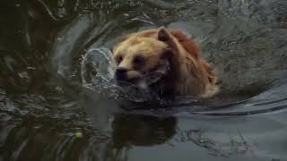 October 20th - Unseen