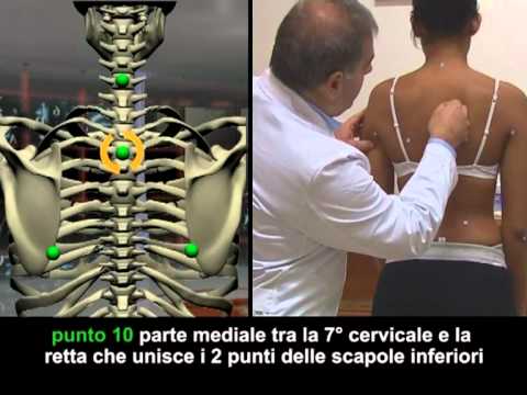 Vasocostrizione del rachide cervicale Cliniche di sostituzione del ginocchio in Ucraina