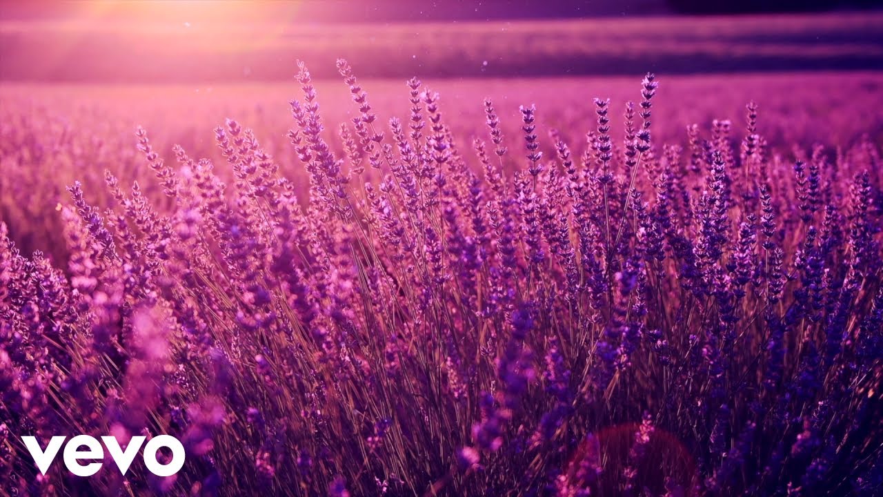 Stronger Than Before / オリビア・ニュートン＝ジョン（Olivia Newton-John） 