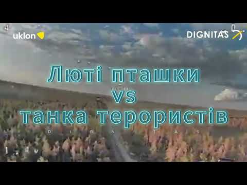 FPV-дрон знищує російський танк