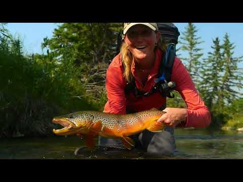 Breaking Down a TINY Brown Trout Spring Creek - PART 1
