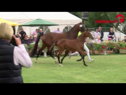 06 Catch me now Hengst v. Comme il faut - Captain Jack