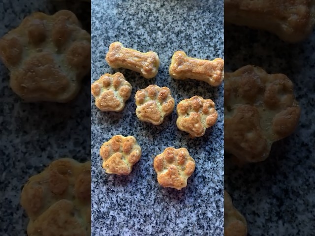 Vídeo relacionado con Arquivet, Soft Snacks Naturales para Perro en Forma de corazón Mix de sabores, Pollo, Caza, Cordero, salmón y arroz, Chuches para Perro, Golosinas para Perro, 800 g