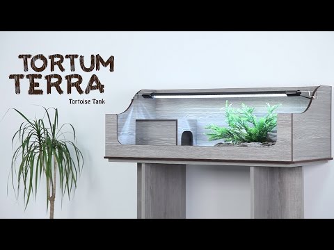 Watch Video on YouTube