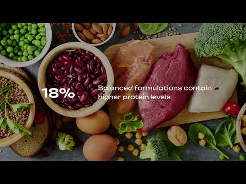 French Bulldog Precision Nutrition for Weight Management — Holistic Guide