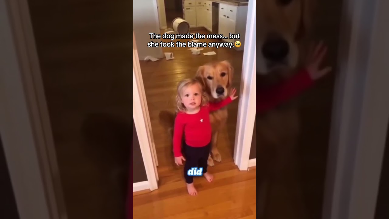 “I Ate My Dog’s Homework!” 🤣