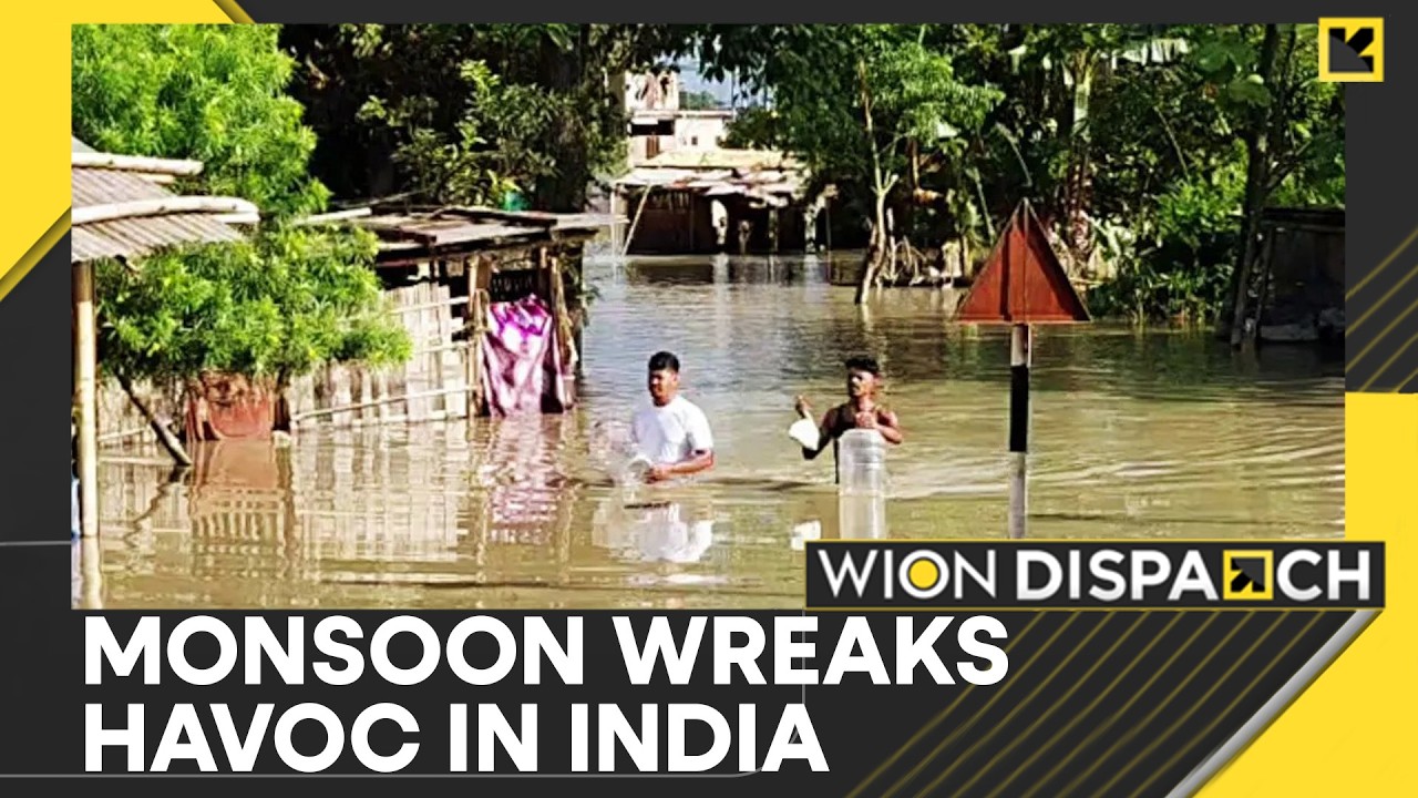 Assam Devastated by Worst Floods in 60 Years | WION Dispatch