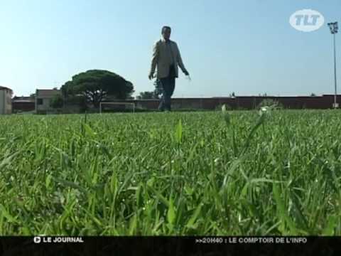 Grippe A : L'US Colomiers Football victime du virus