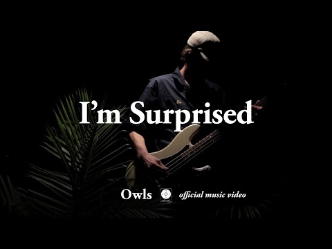 Owls - I'm Surprised... [OFFICIAL MUSIC VIDEO]
