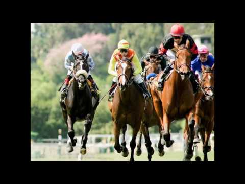 Pronostic quinté 22/02/2017 - Cagnes-sur-Mer - Prix de Sainte-Maxime