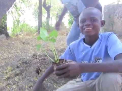 Supporting Haitian Orphans and Families