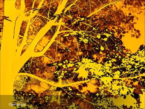 Mahler: Das Lied von der Erde [Walter] Kathleen Ferrier & Julius Patzak