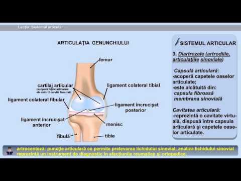 Ligamentele articulației cotului doare cum se tratează