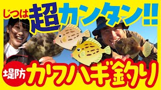 実は超簡単!! 堤防 カワハギ釣り やってみよ~!!