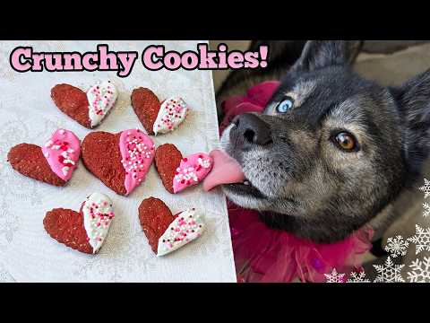 Best Homemade Valentine Cookies for Dogs 💗 Valentines DIY Dog Treats