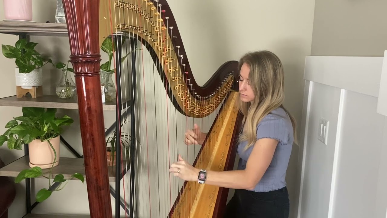 Promotional video thumbnail 3 for Salt Lake Harpist