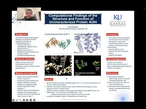 <p>Computational Findings of the Structure and Function of Uncharacterized Protein 4U04</p>