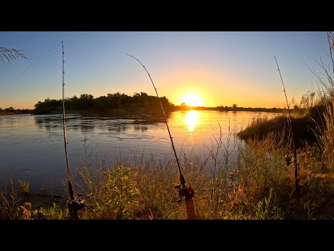 CAMPAMENTO DE PESCA Y COCINA EN Rio Gualeguay, Pescado asado y bagres fritos en la naturaleza