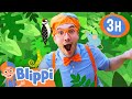 What S It Like To Live Like An Animal Blippi Educational Videos For Kids