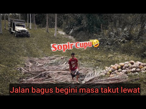 Di saat aku jadi penakut . Hardtop lewati jalan Hasil tambal daun kelapa.