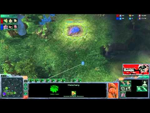 E14G2 - ZvP - David vs isurusXionS