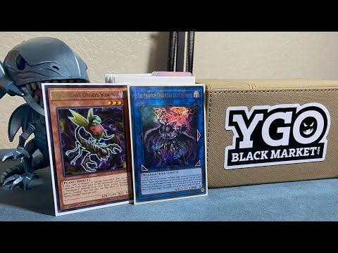 Yugioh! PAPAS *UPDATED* 4TH PLACE PLANT PHANTOM KNIGHT DECK PROFILE! SEPTEMBER 2021 FORMAT