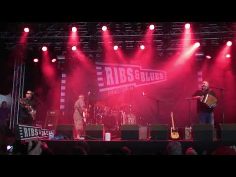 Ribs&Blues 2010 - Los Lobos