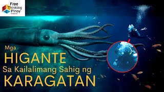 DEEP SEA GIGANTISM explained | Bakit Malaki Ang Mga Hayop sa ilalim ng dagat?