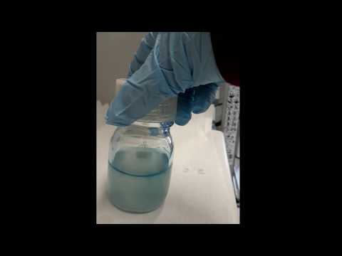 Blue Bottle Experiment