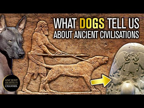 What Dogs Tell Us About Ancient Civilisations | Ancient Architects