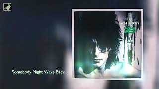 Somebody Might Wave Back by The Waterboys