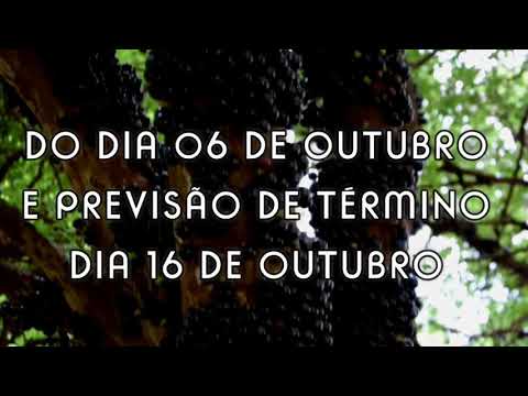 FESTIVAL DA JABUTICABA 2018