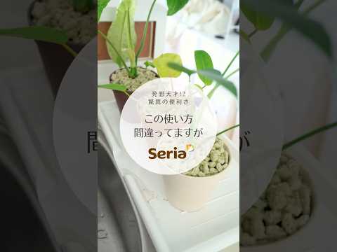 植物を暖めるのに適した冬のベールは何ですか?リーダーに従う ！  庭園