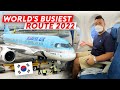 Flying on the World's Busiest Route - Korean Air and Jin Air