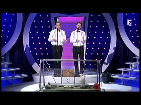 Les décaféinés [8] Le salon du mariage - ONDAR