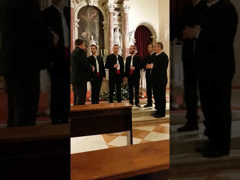 Nastup klape Težaci u Zadru