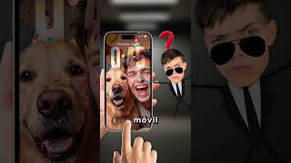 Qué Pasa Si Encuentras Un Móvil? 📲